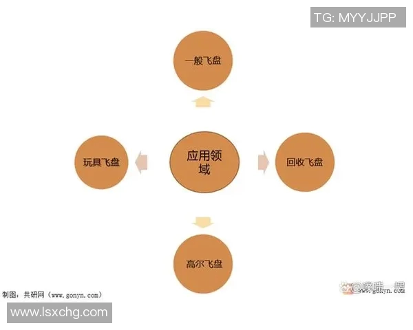飞盘热潮下的北京飞盘队运营模式与发展策略分析