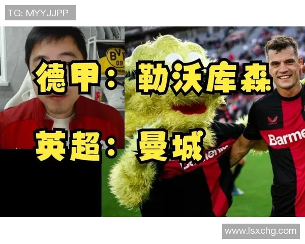 霍霍芬海姆对阵曼城精彩直播全程回顾与赛后分析